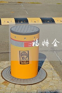 福特金融逾期6个月 福特金融逾期6个月