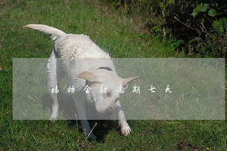 福特金融逾期七天 福特金融逾期七天