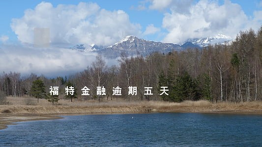 福特金融逾期五天 福特金融逾期五天