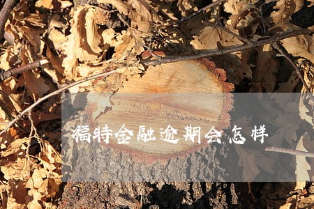 福特金融逾期会怎样
