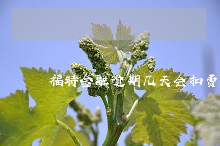 福特金融逾期几天会扣费 福特金融逾期几天会扣费