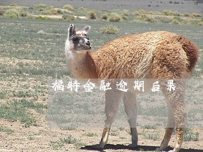 福特金融逾期后果 福特金融逾期后果