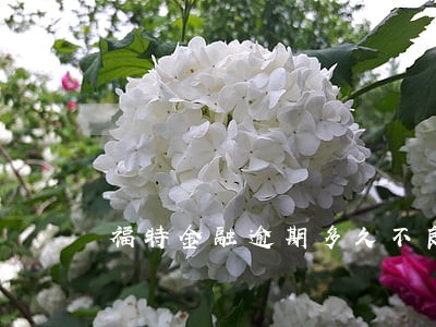 福特金融逾期多久不良 福特金融逾期多久不良