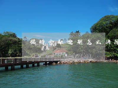 福特金融逾期怎么消除 福特金融逾期怎么消除