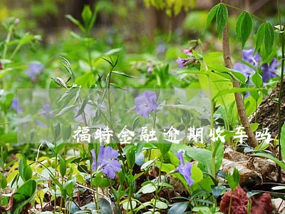 福特金融逾期收车吗 福特金融逾期收车吗