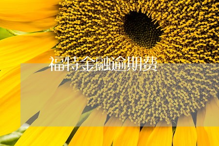 福特金融逾期费 福特金融逾期费