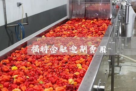 福特金融逾期费用 福特金融逾期费用