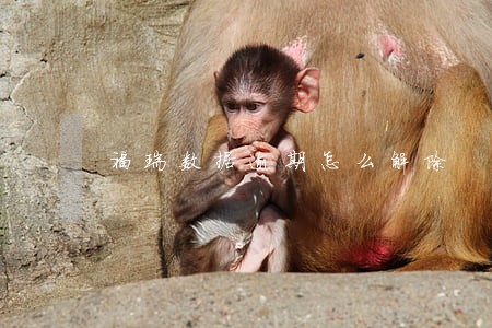 福瑞数据逾期怎么解除 福瑞数据逾期怎么解除