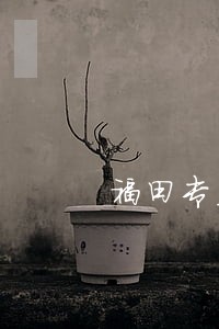 福田专业律师价格 福田专业律师价格