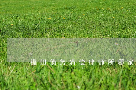 福田债务清偿律师所哪家强