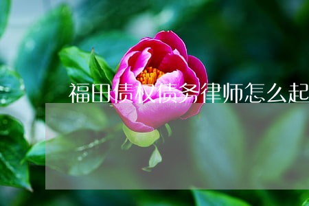 福田债权债务律师怎么起诉 福田债权债务律师怎么起诉