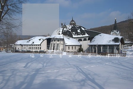 福田区专业的深圳律师 福田区专业的深圳律师
