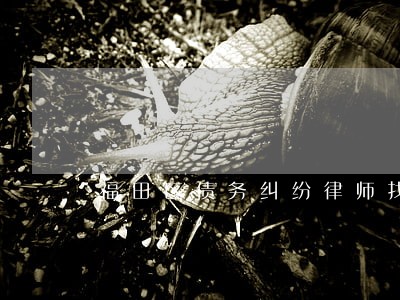 福田区债务纠纷律师找谁好 福田区债务纠纷律师找谁好