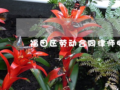 福田区劳动合同律师电话咨询 福田区劳动合同律师电话咨询