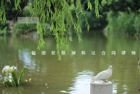 福田区抵押转让合同律师在线咨询 福田区抵押转让合同律师在线咨询