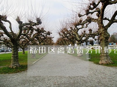 福田区离婚债务律师咨询免费 福田区离婚债务律师咨询免费