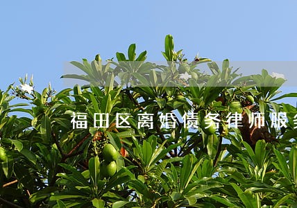 福田区离婚债务律师服务 福田区离婚债务律师服务