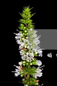 福田婚姻纠纷律师网站 福田婚姻纠纷律师网站