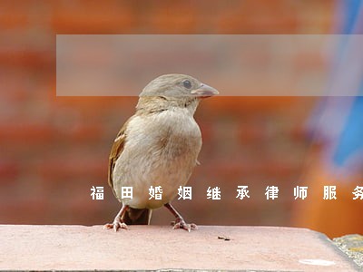 福田婚姻继承律师服务 福田婚姻继承律师服务