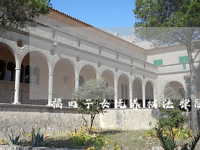 福田子女抚养权法律服务顾问 福田子女抚养权法律服务顾问