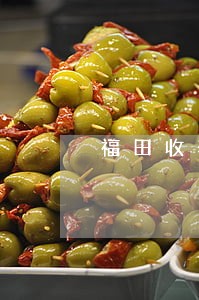 福田收养继承法律师怎么起诉 福田收养继承法律师怎么起诉