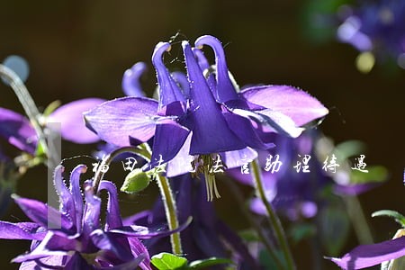 福田法院法官助理待遇 福田法院法官助理待遇