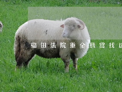 福田法院重金悬赏找这37人 福田法院重金悬赏找这37人