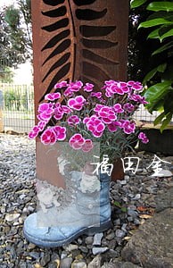 福田金融车贷逾期一年