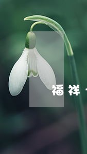 福祥卡逾期怎么协商 福祥卡逾期怎么协商