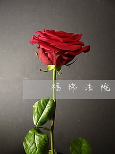 福绵法院招聘