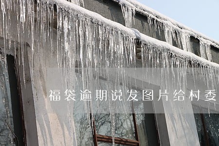 福袋逾期说发图片给村委会 福袋逾期说发图片给村委会