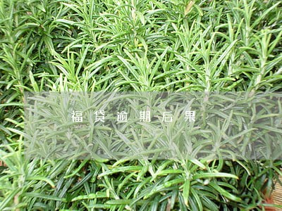 福贷逾期后果 福贷逾期后果