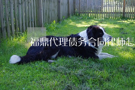 福鼎代理债务合同律师怎么收费 福鼎代理债务合同律师怎么收费