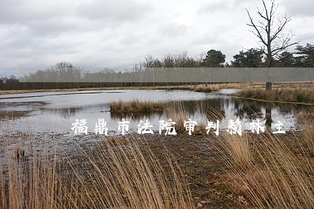 福鼎市法院审判赖林主 福鼎市法院审判赖林主