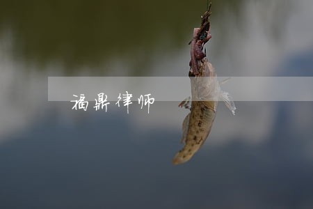 福鼎律师 福鼎律师