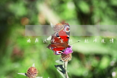 福鼎法院宣判一起涉疫情诈骗案 福鼎法院宣判一起涉疫情诈骗案