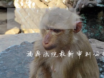 福鼎法院最新审判公布套路货 福鼎法院最新审判公布套路货