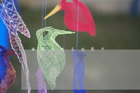 福鼎法院自拍图片 福鼎法院自拍图片