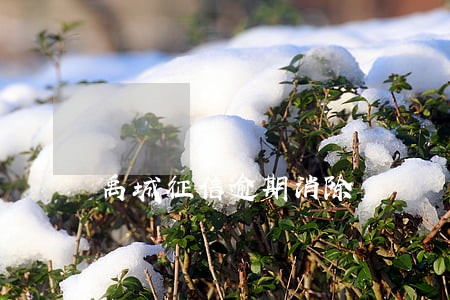 禹城征信逾期消除 禹城征信逾期消除
