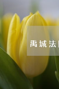 禹城法院微博 禹城法院微博