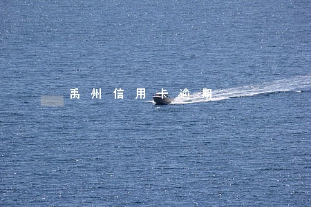 禹州信用卡逾期 禹州信用卡逾期