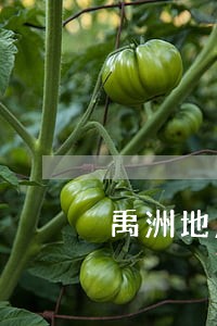 禹洲地产债务逾期 禹洲地产债务逾期