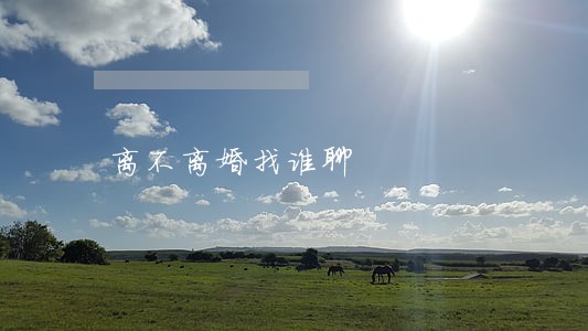 离不离婚找谁聊 离不离婚找谁聊