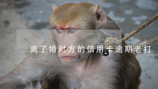 离了婚对方的信用卡逾期老打 离了婚对方的信用卡逾期老打