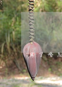 离了婚怎么会没有离婚证 离了婚怎么会没有离婚证
