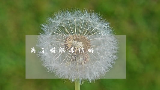 离了婚能冻结吗