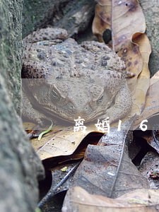 离婚16万彩礼 离婚16万彩礼