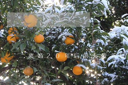 离婚20年后前夫要求复合 离婚20年后前夫要求复合