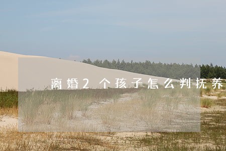 离婚2个孩子怎么判抚养权怎么写 离婚2个孩子怎么判抚养权怎么写