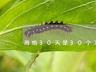 离婚30天是30个工作日吗 离婚30天是30个工作日吗